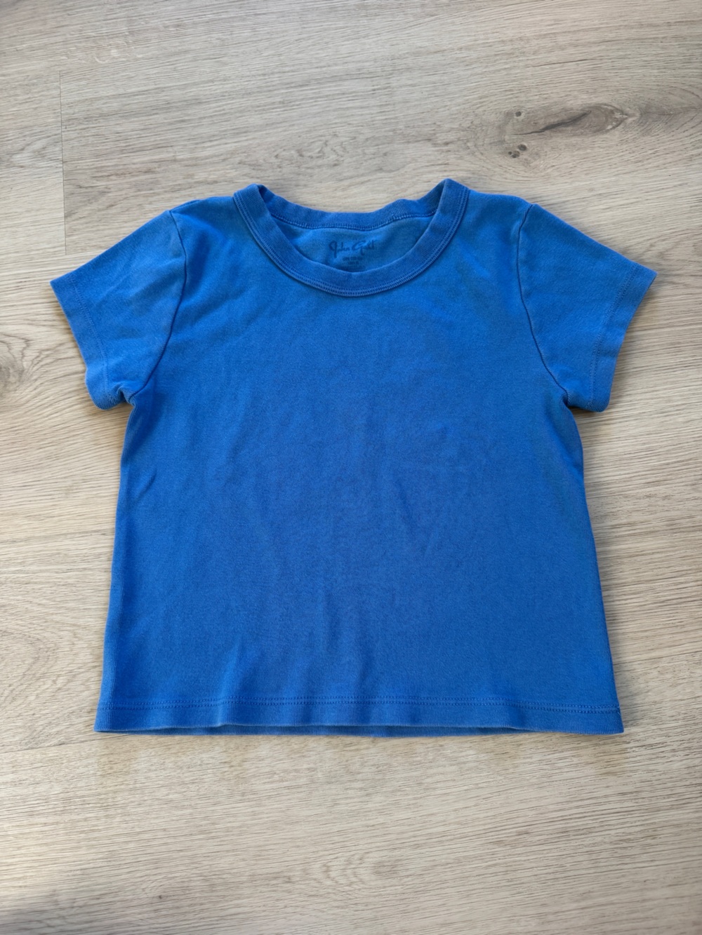 Brandy Melville Minimalist Comfy Blue Cropped Baby Tee